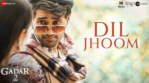 Read more about the article Dil Jhoom Lyrics