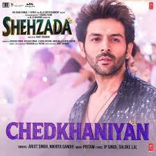 Read more about the article Chedkhaniyaan Lyrics