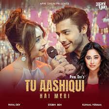 Read more about the article Aashiqui Lyrics