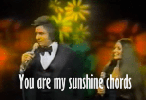 Read more about the article You are my sunshine chords